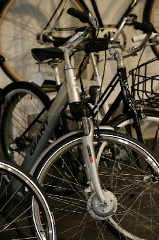 Giant silničky a ostatní kola 2011