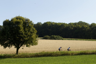 Mistrovství světa v MTB Maratonu 2010