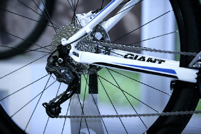 Giant 29" 2011 obrazem