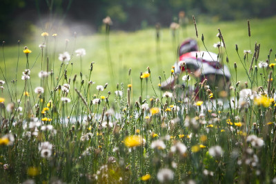 Světový pohár XC #6 Windham 2010