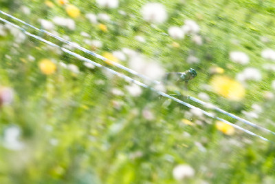 Světový pohár XC #6 Windham 2010