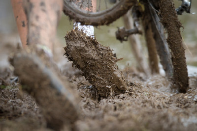 Toi Toi Cup #2 - Louny 2010