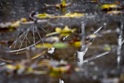 Toi Toi Cup #2 - Louny 2010