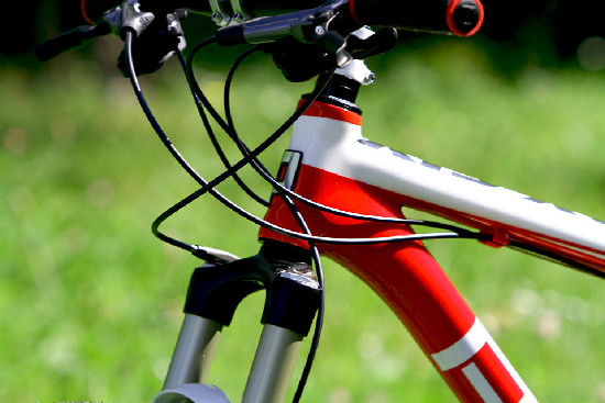 základní carbon od Pellsu na 2011