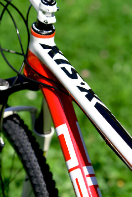 základní carbon od Pellsu na 2011