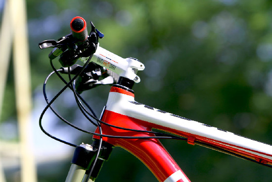 základní carbon od Pellsu na 2011