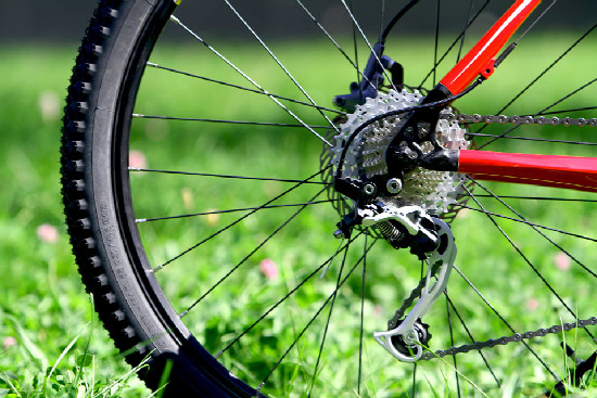 základní carbon od Pellsu na 2011