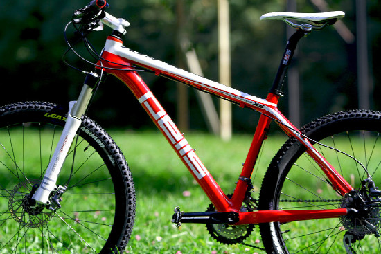 základní carbon od Pellsu na 2011