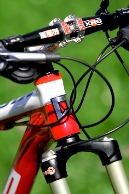 základní carbon od Pellsu na 2011