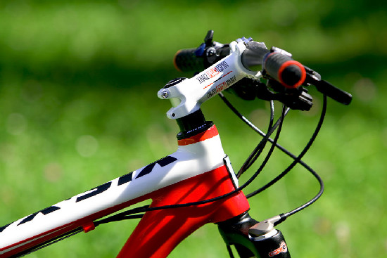 základní carbon od Pellsu na 2011