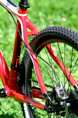 základní carbon od Pellsu na 2011