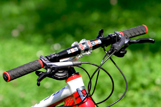 základní carbon od Pellsu na 2011