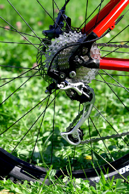 základní carbon od Pellsu na 2011