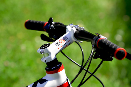 základní carbon od Pellsu na 2011