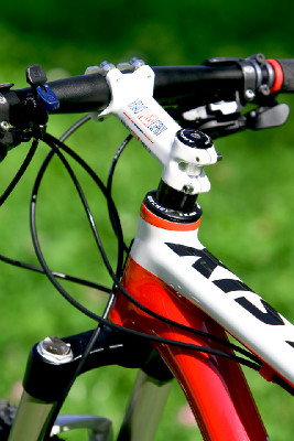 základní carbon od Pellsu na 2011