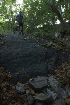 Trail v Highbridge Parku