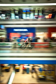 DownMall Flora 2011 obrazem