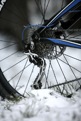 Testovali a fotili jsme na listí i na sněhu