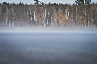 Winter Okolohradce 2011