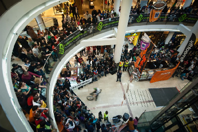 DownMall Flora 2011 obrazem