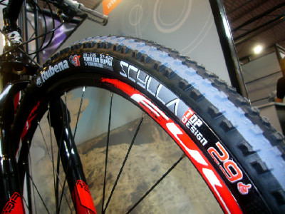 Rubena Scylla 29 palců