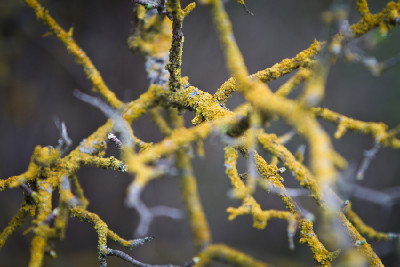 Afxentia 2011 - časovka