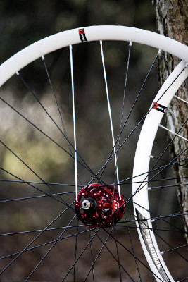 MTB tubelees výplety