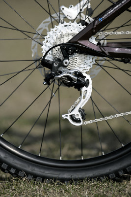 hnědý "Španělák"