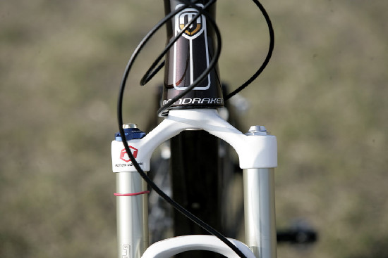 hnědý "Španělák"