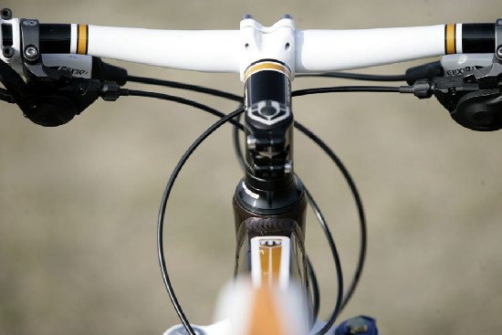 hnědý "Španělák"