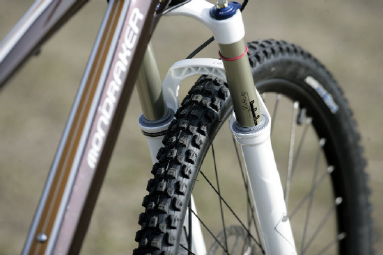 hnědý "Španělák"