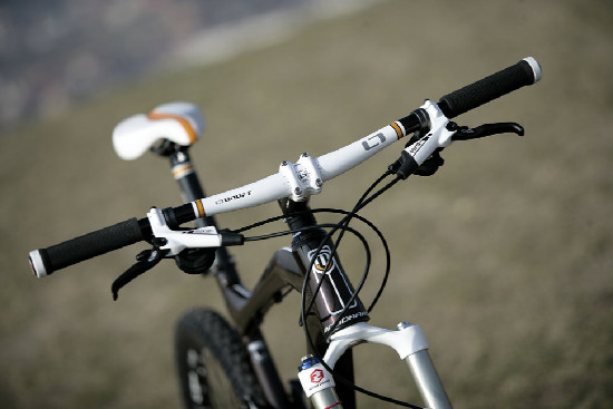 hnědý "Španělák"