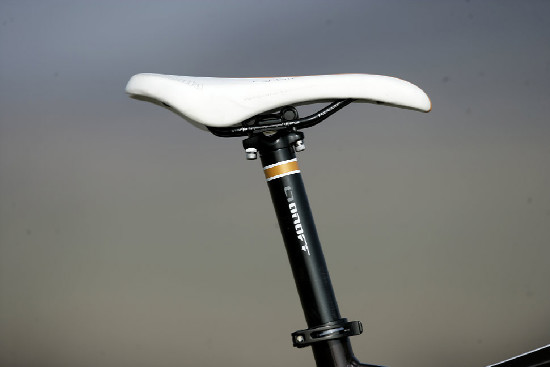 hnědý "Španělák"