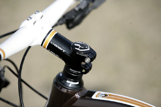 hnědý "Španělák"