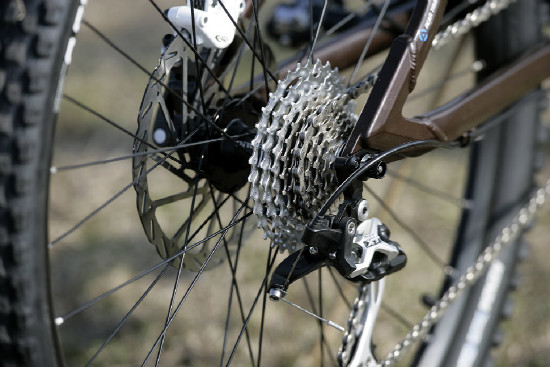 hnědý "Španělák"