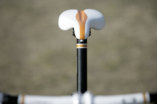 hnědý "Španělák"