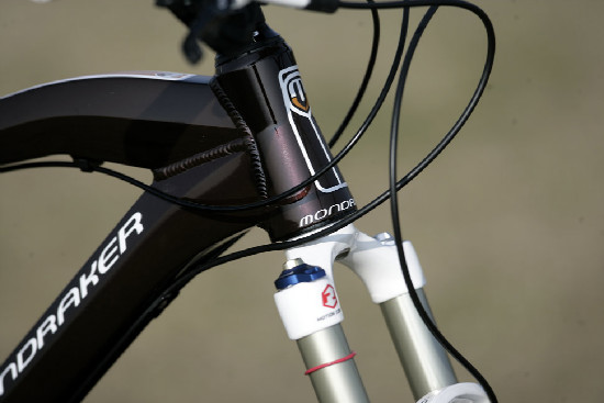 hnědý "Španělák"