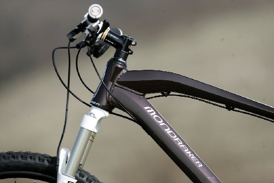 hnědý "Španělák"