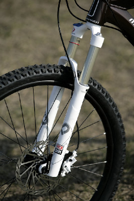 hnědý "Španělák"