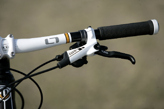 hnědý "Španělák"