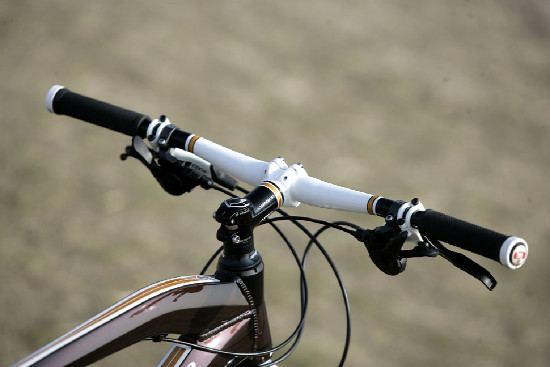 hnědý "Španělák"