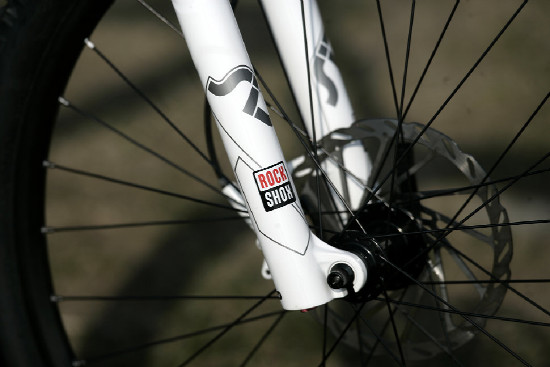 hnědý "Španělák"