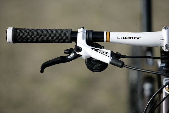 hnědý "Španělák"