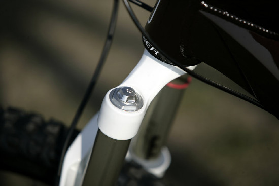 hnědý "Španělák"