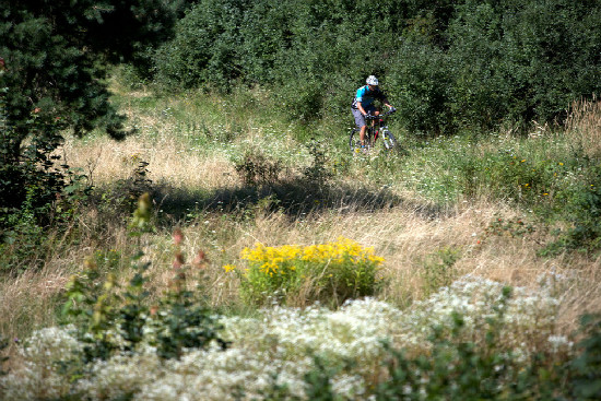 Jak jsme testovali XC závoďáka