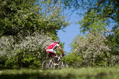 Author Šela Marathon 2011