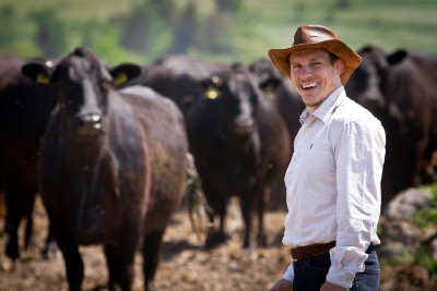 Václav Silovský u svého stáda Angusů