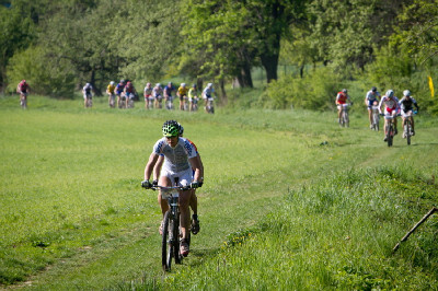 Author Šela Marathon 2011