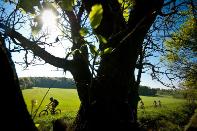Author Šela Marathon 2011