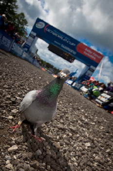 Světový pohár XC #2 Dalby Forest